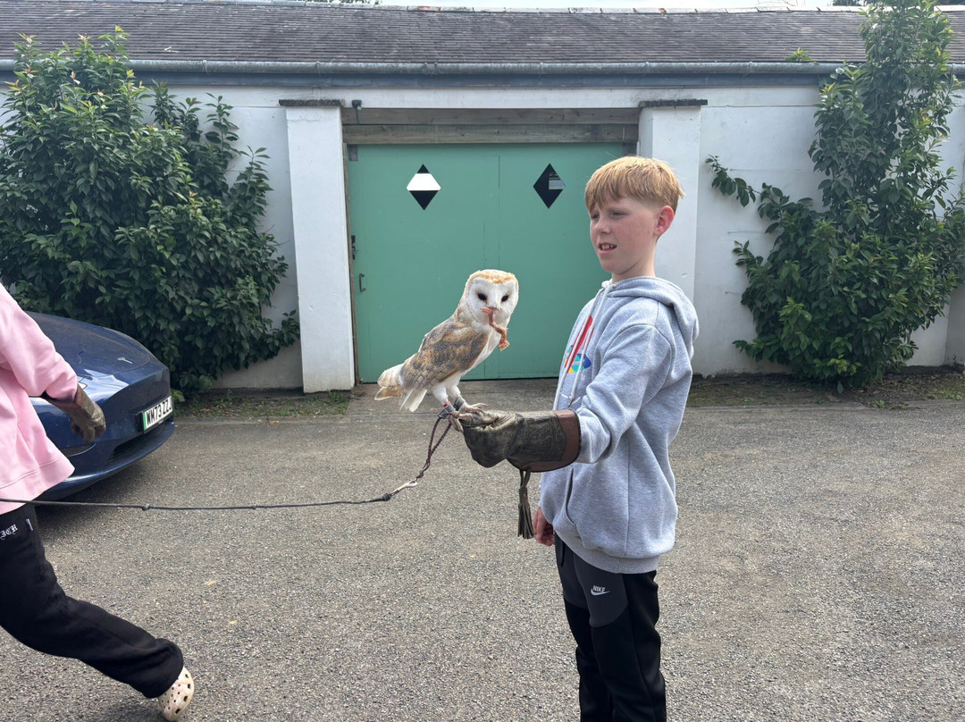 North Devon Hawk Walks-South Molton必去景点