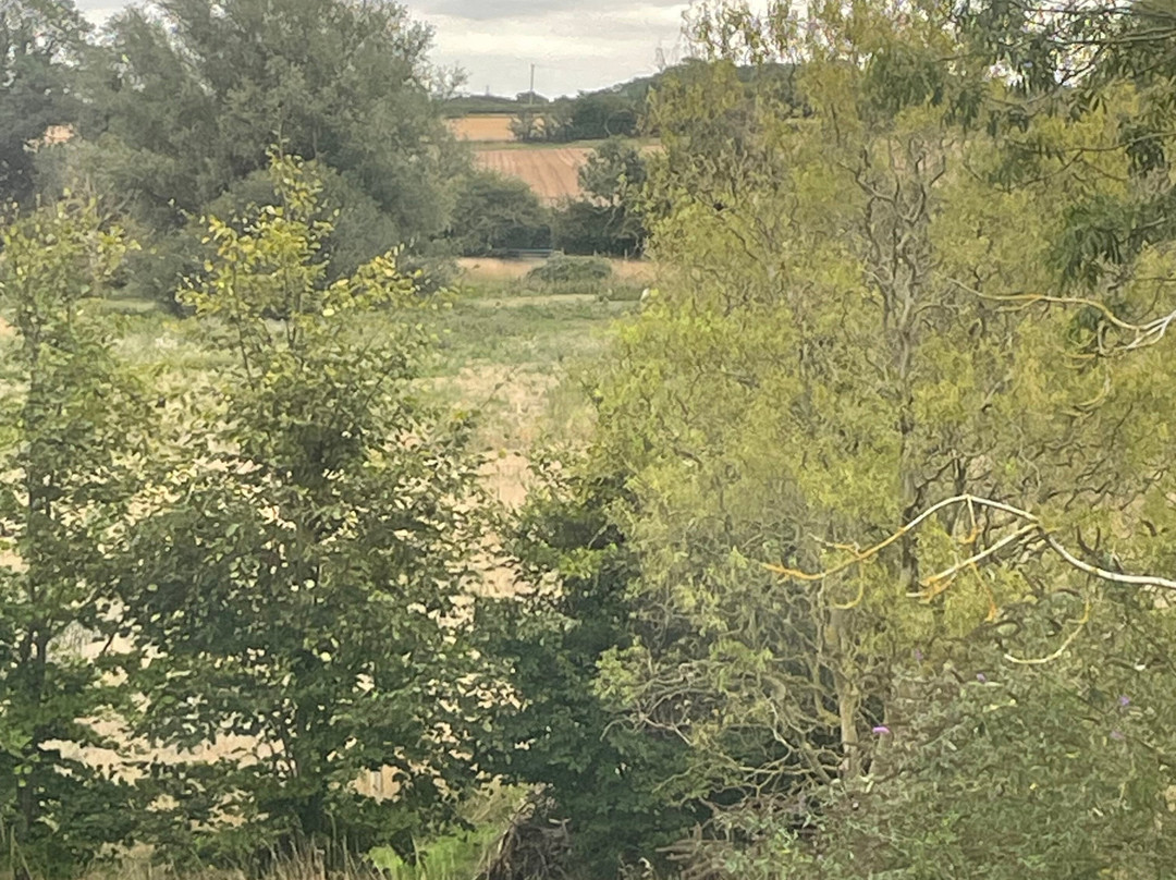 Pakenham Watermill-Pakenham必去景点