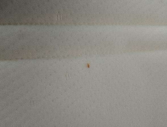 Brit Hôtel Aux Sacres Reims Centre主图