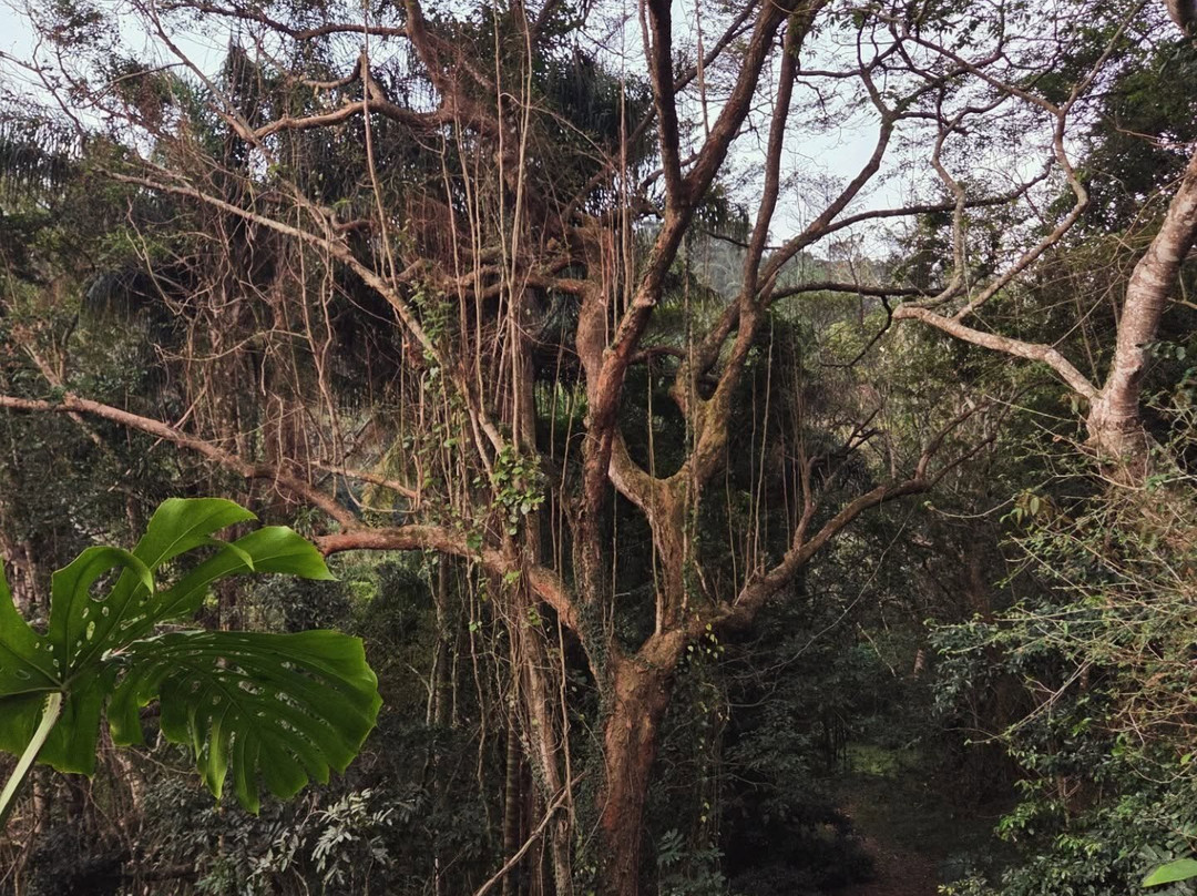 Royston Hall Guesthouse主图