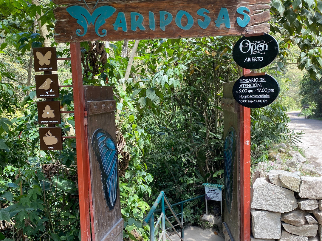 Mariposario De Machupicchu-温泉镇必去景点