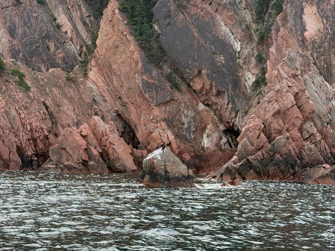 Bird Island Boat Tour-Big Bras d'Or必去景点
