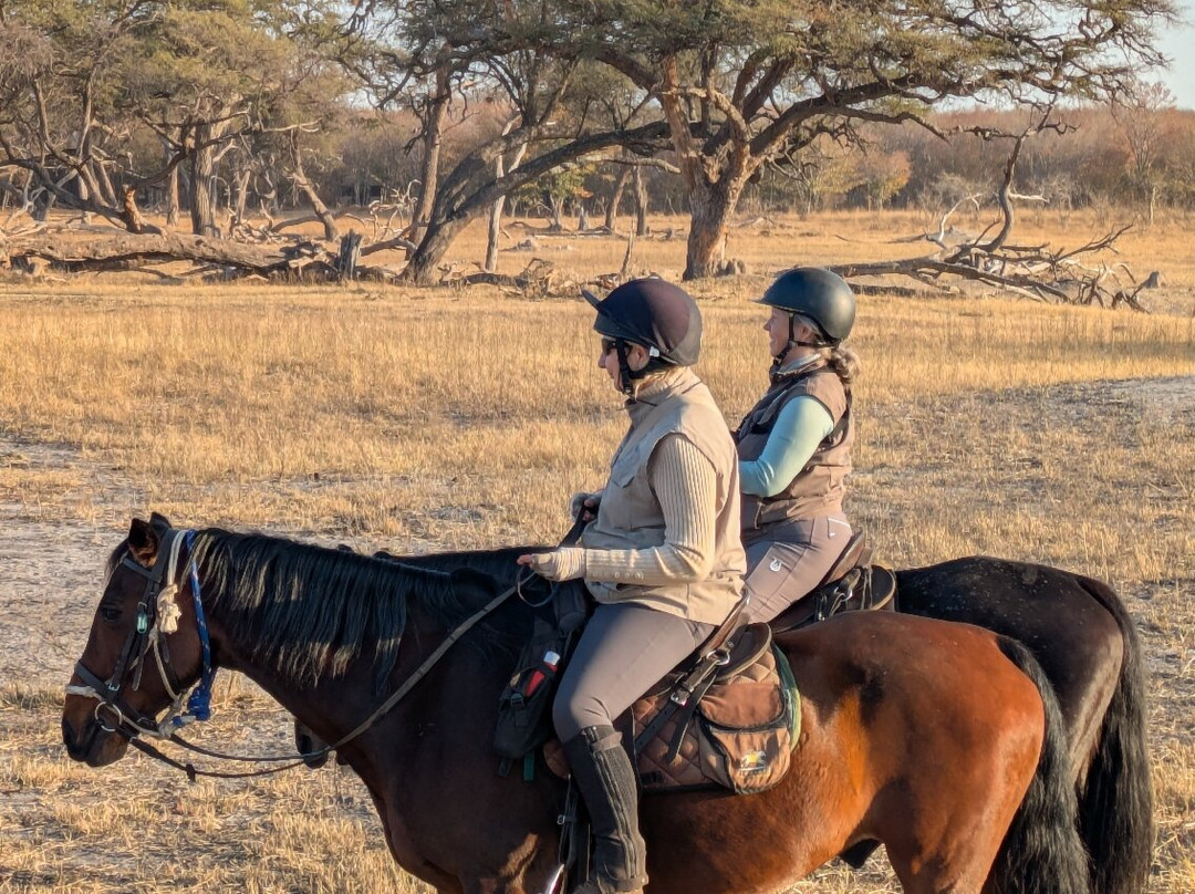 Ride Zimbabwe-布拉瓦约必去景点