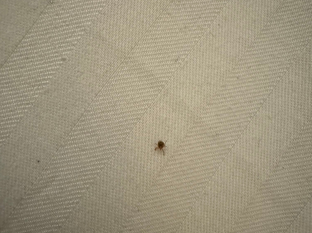 Best Western Plus Inn At Valley View主图