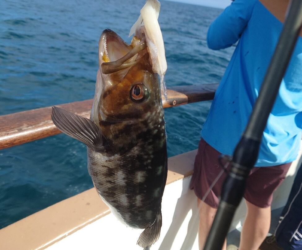 Redondo Beach Sportfishing-雷东多海滩必去景点