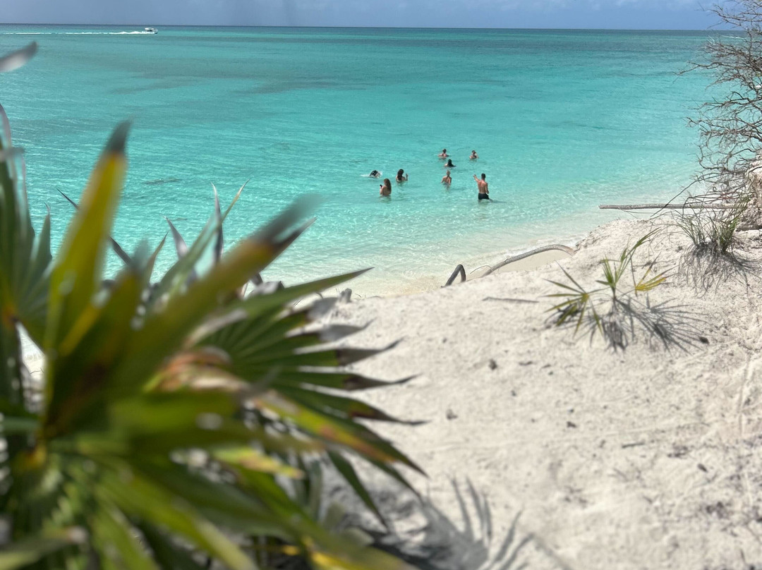 Blue Ocean Tours-Turtle Cove必去景点