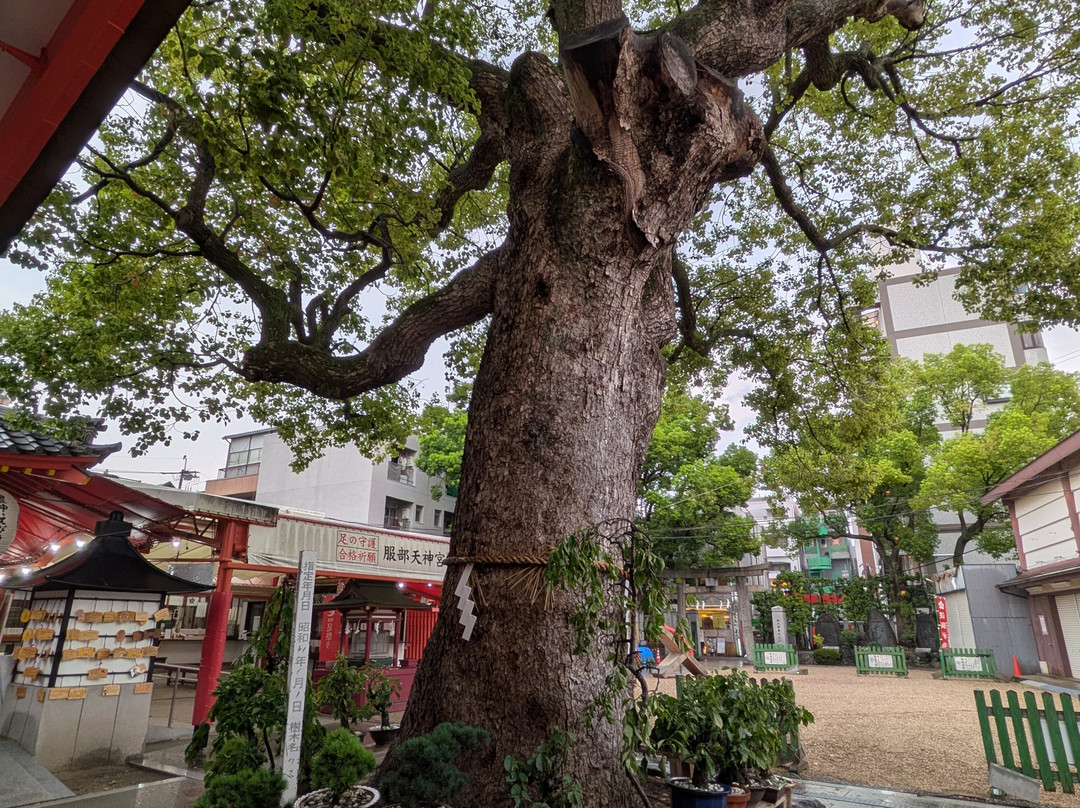 Hattori Tenjingu Shrine-丰中市必去景点