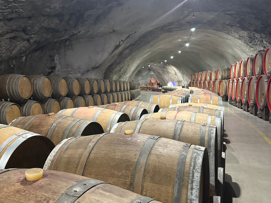 Wine Cellar Šipčanik, 13.jul Plantaže-Tuzi必去景点