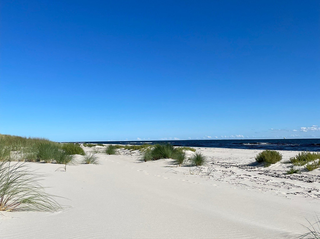 Sandhammarens Strand-Loderup必去景点