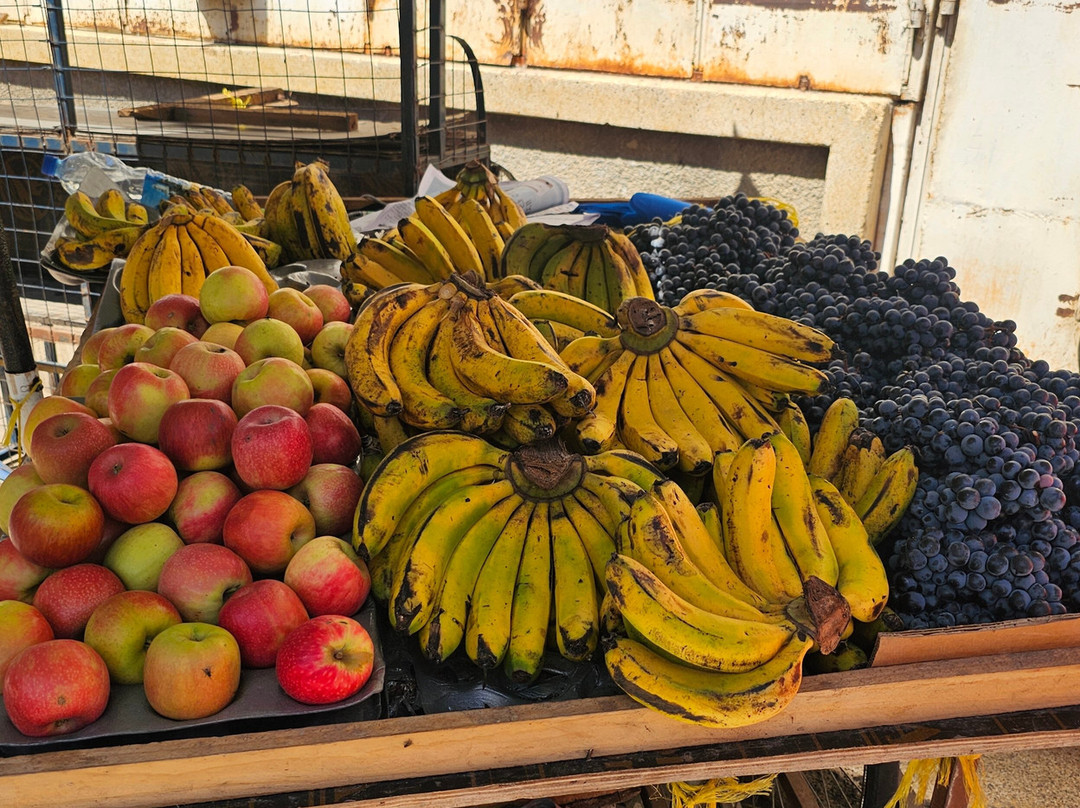 Joyful To Zanzibar-Kizimkazi Dimbani必去景点