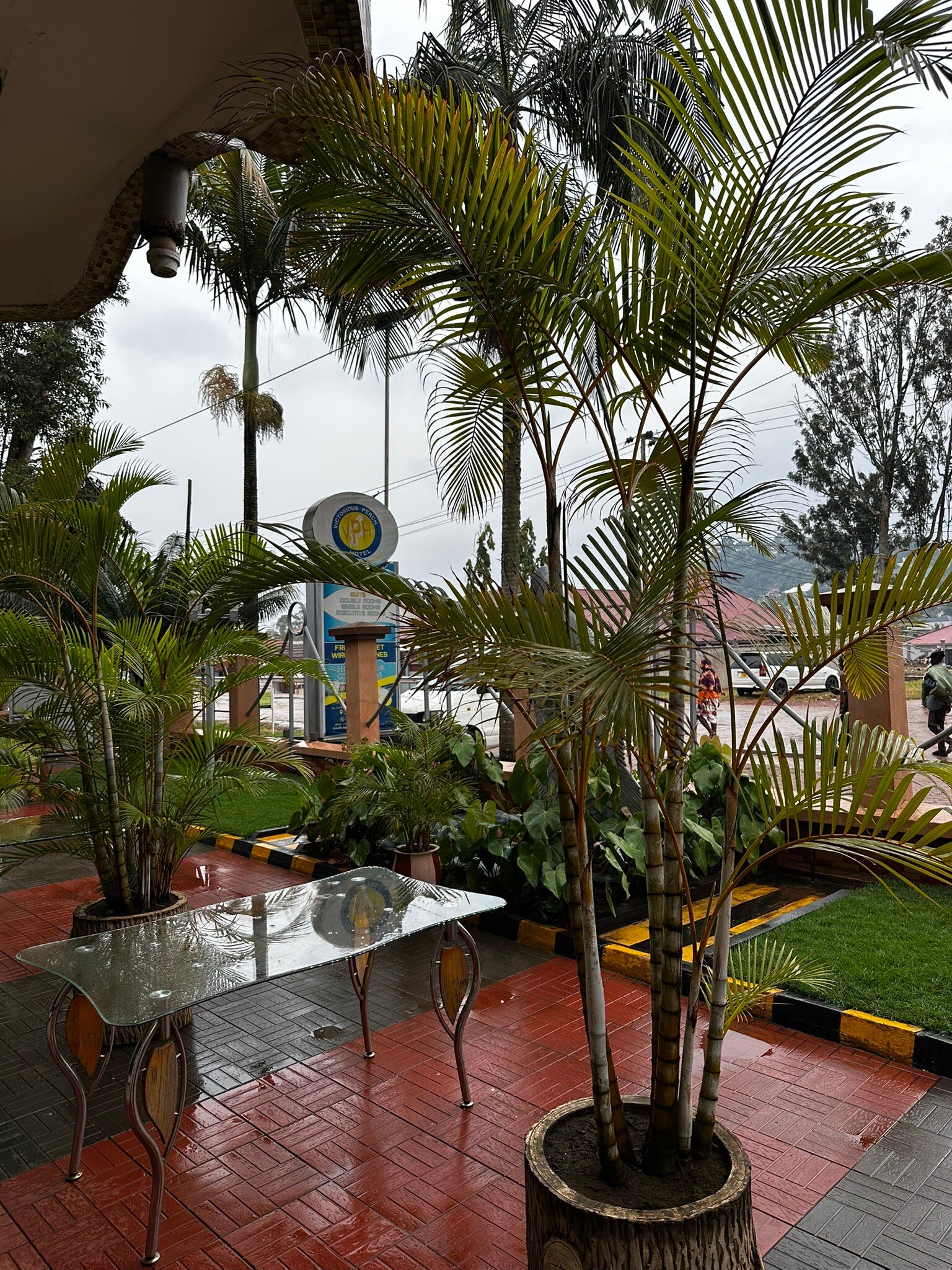 Victorious Perch Hotel-官方