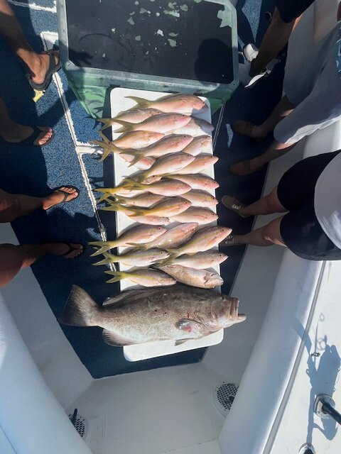 Blue Heaven Charter-伊斯拉摩拉达必去景点