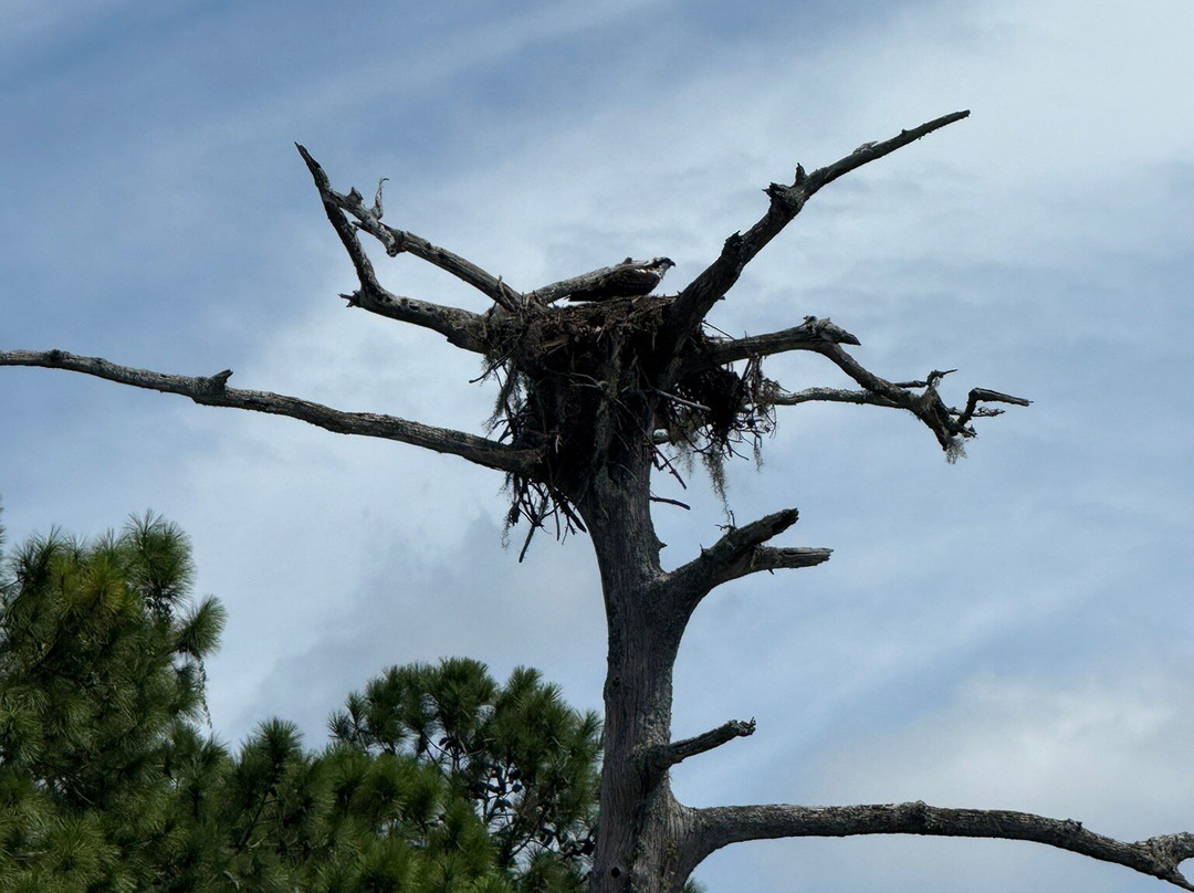 Stillwater Kayaks-新伯尔尼必去景点