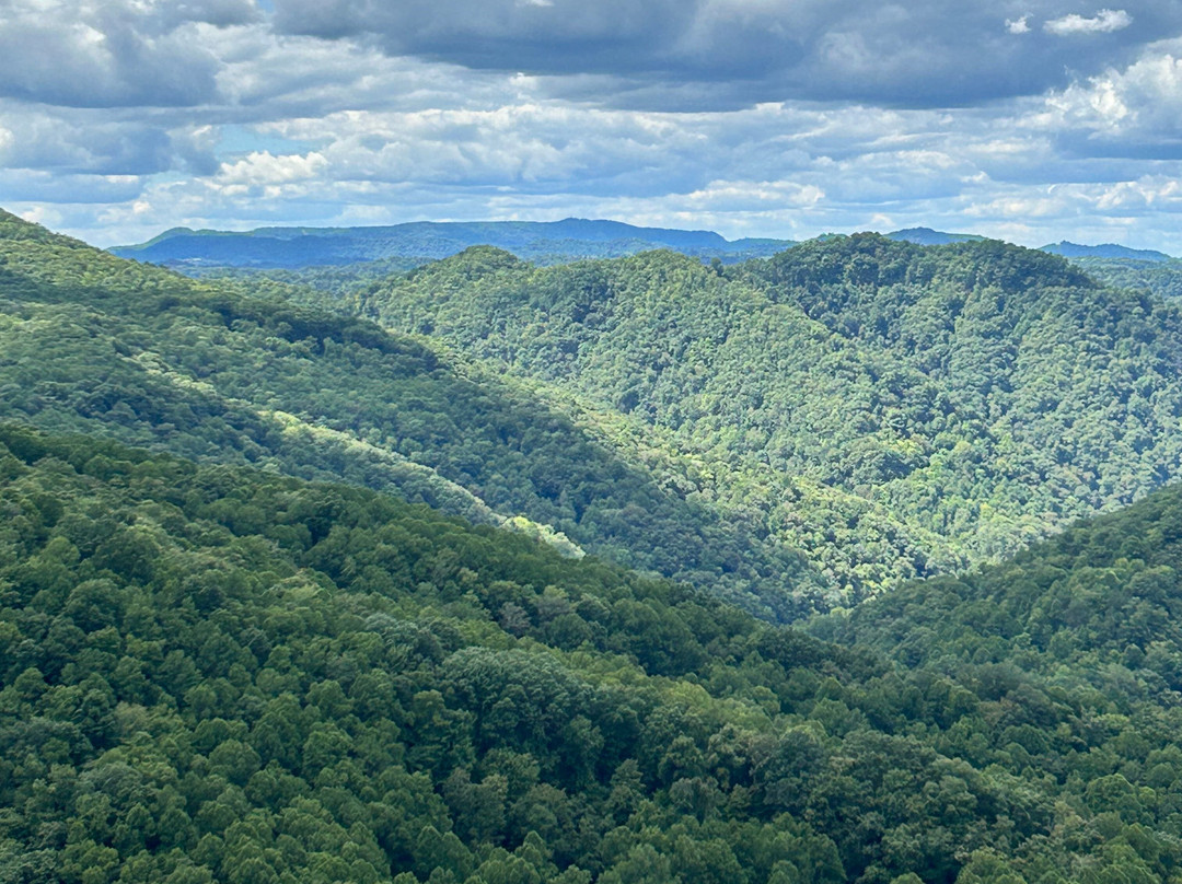 Holiday Inn Express & Suites Lebanon By IHG主图