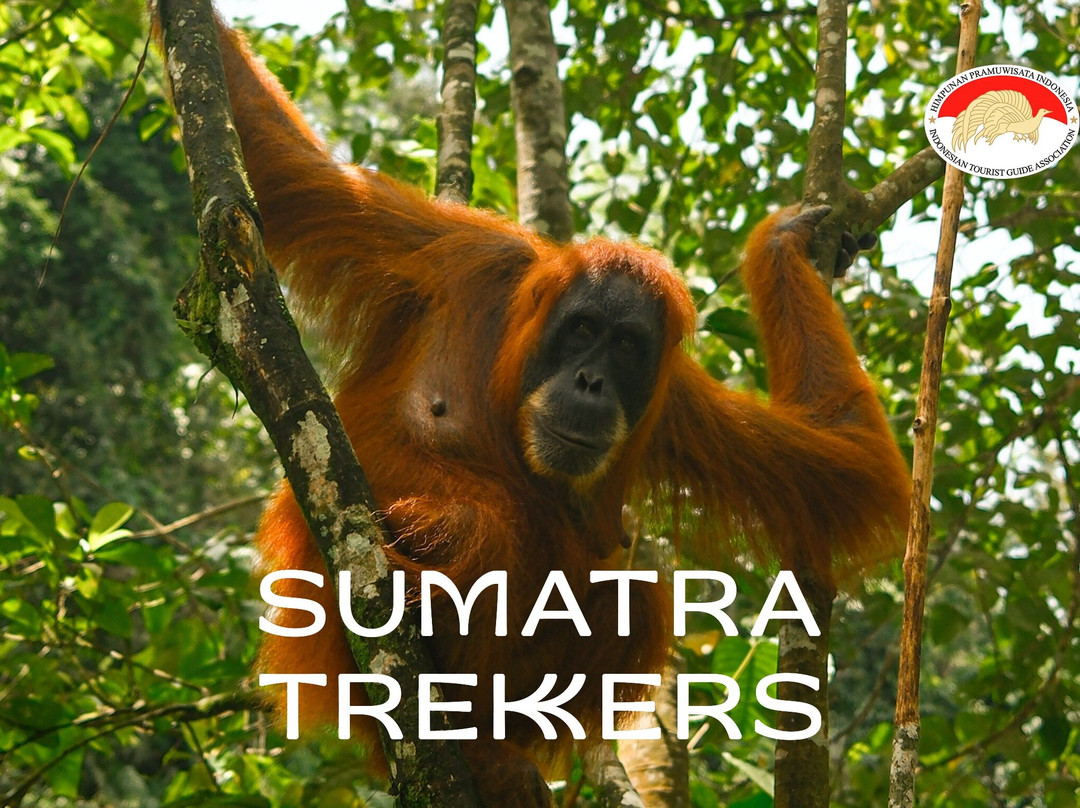 Sumatra Trekkers
