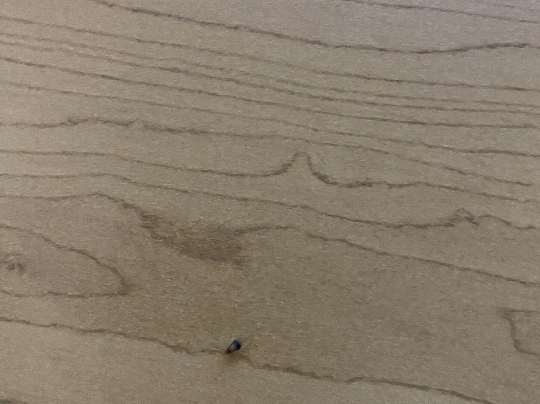 Best Western University Inn主图