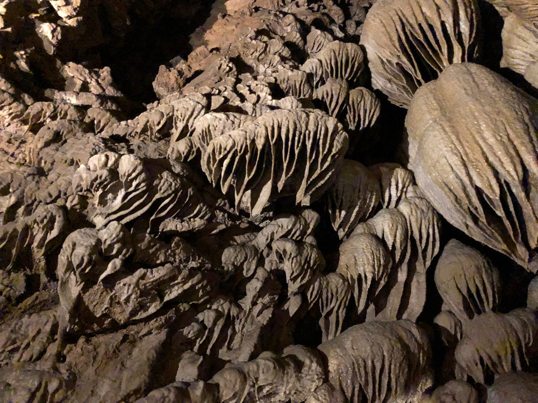 Oregon Caves National Monument And Preserve-凯夫章克申必去景点