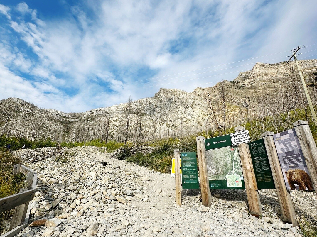 Bear's Hump-沃特顿湖国家公园必去景点