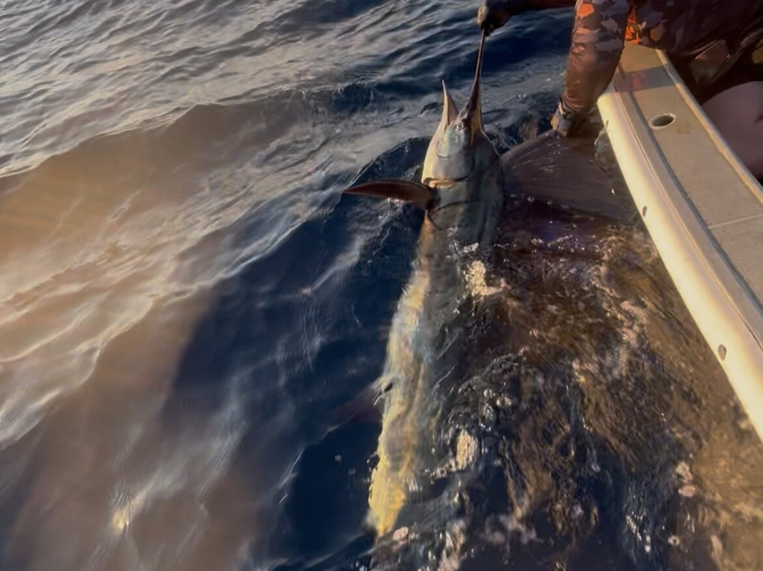 Reel Teaser Fishing Adventures-布鲁姆必去景点