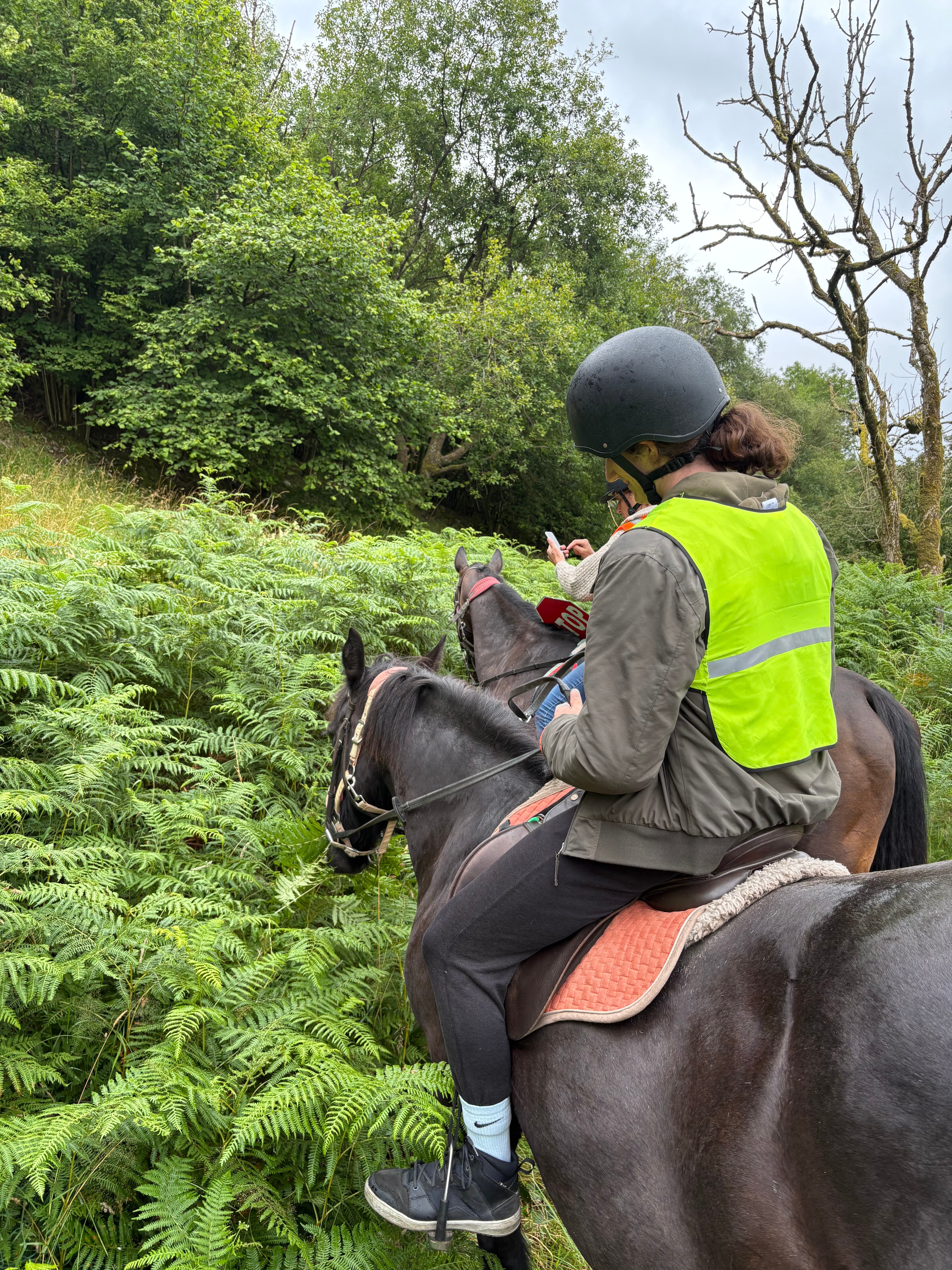 彭特利马术酒店-官方