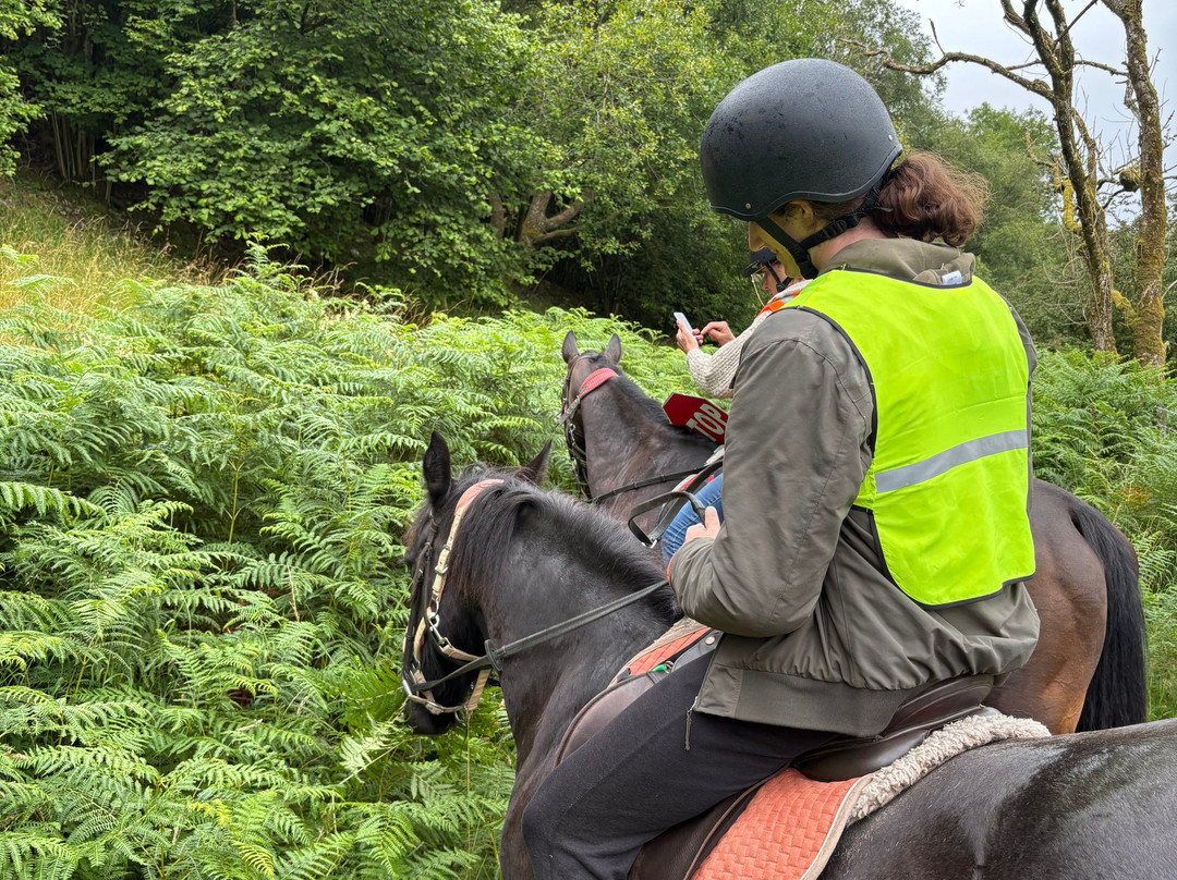 彭特利马术酒店主图