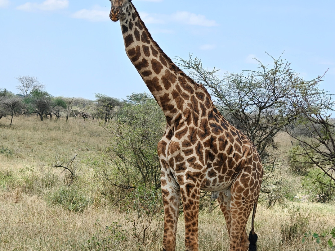 Operation Kilimanjaro-Marangu必去景点