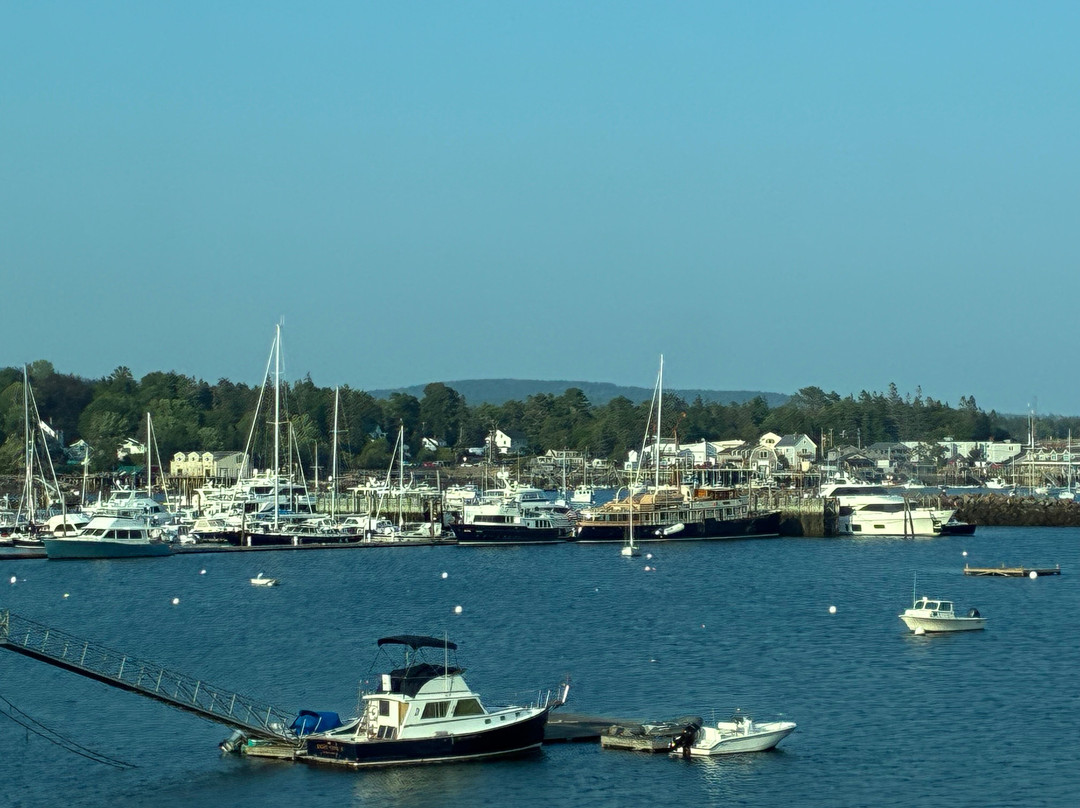 Big Spruce Brewing-布雷顿角岛必去景点