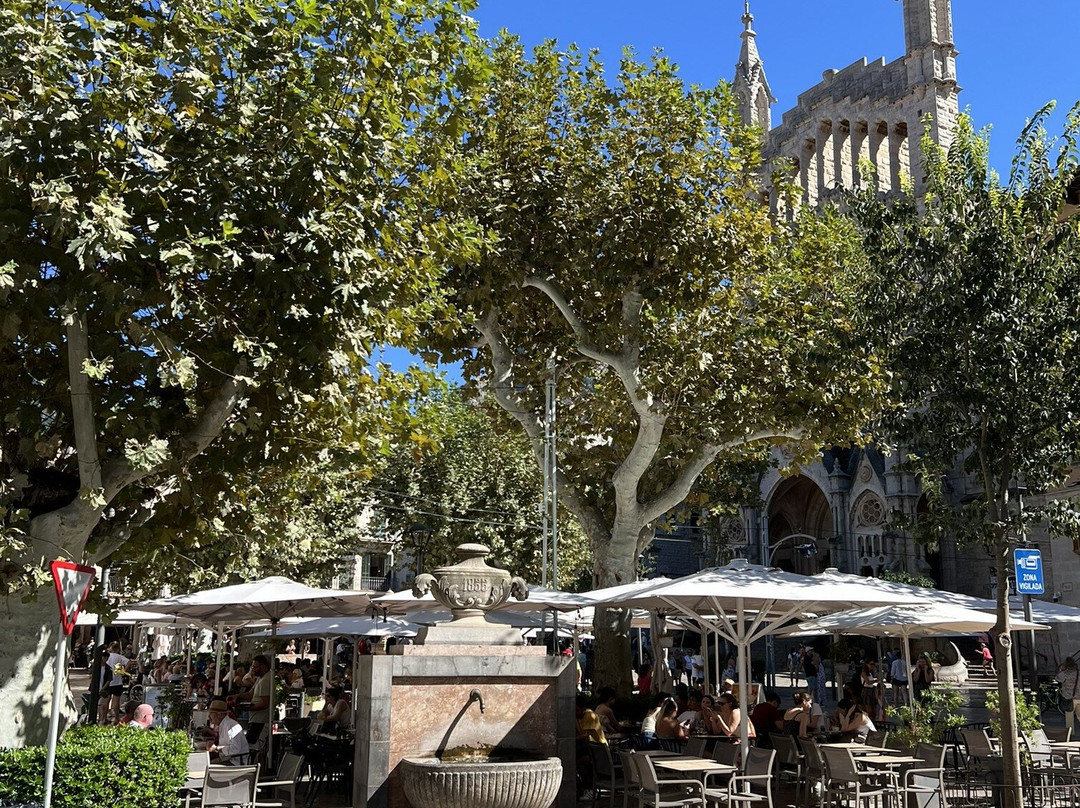 Plaça De La Constitució-索耶尔必去景点