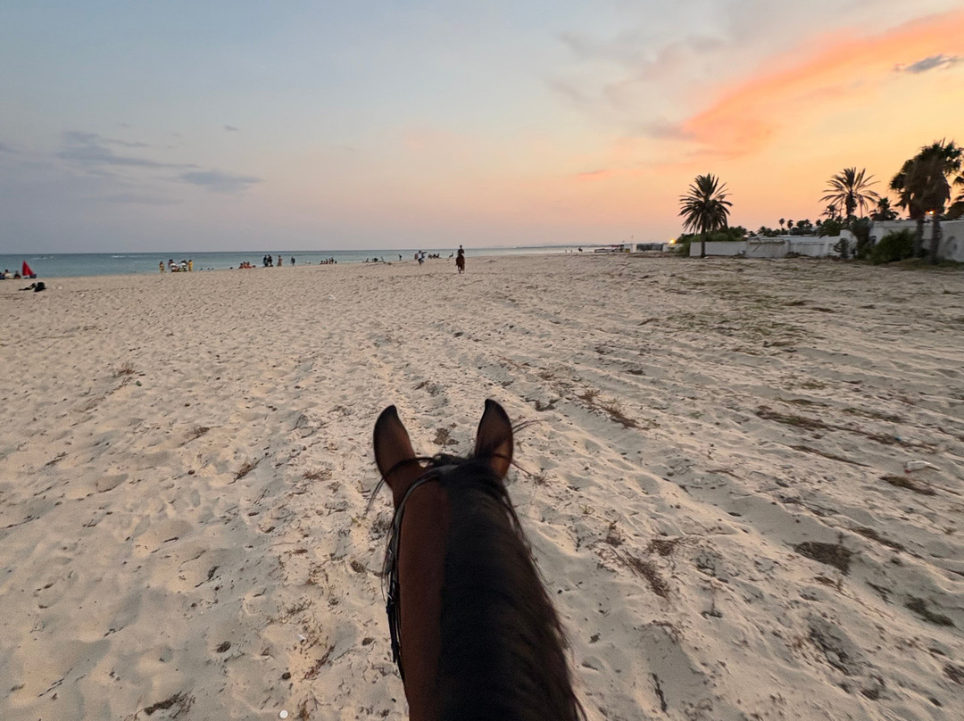 Centre Équestre The Orangers Garden-哈玛麦德必去景点