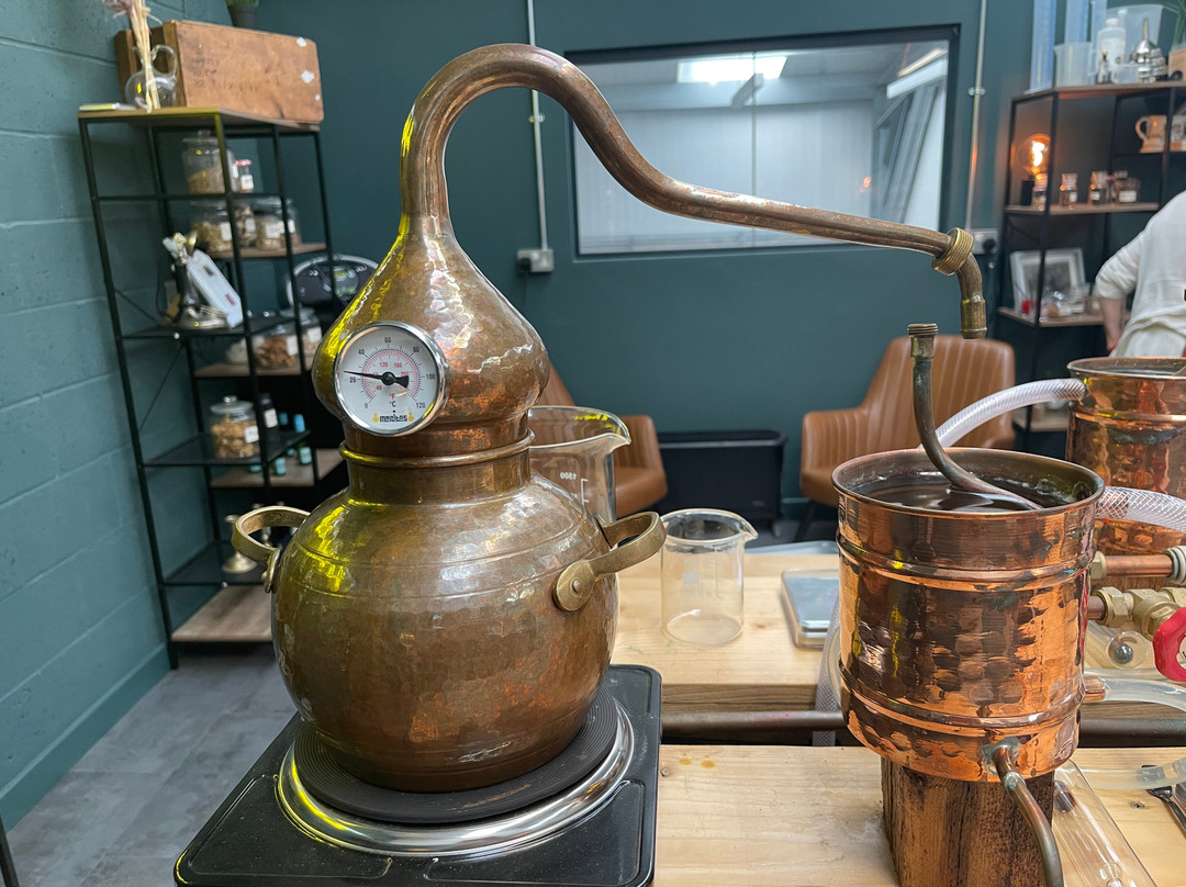 Goldstone Rum-Henfield必去景点