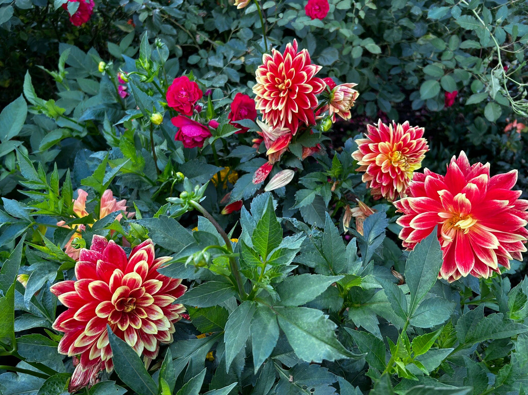 Pashley Manor Gardens-Ticehurst必去景点