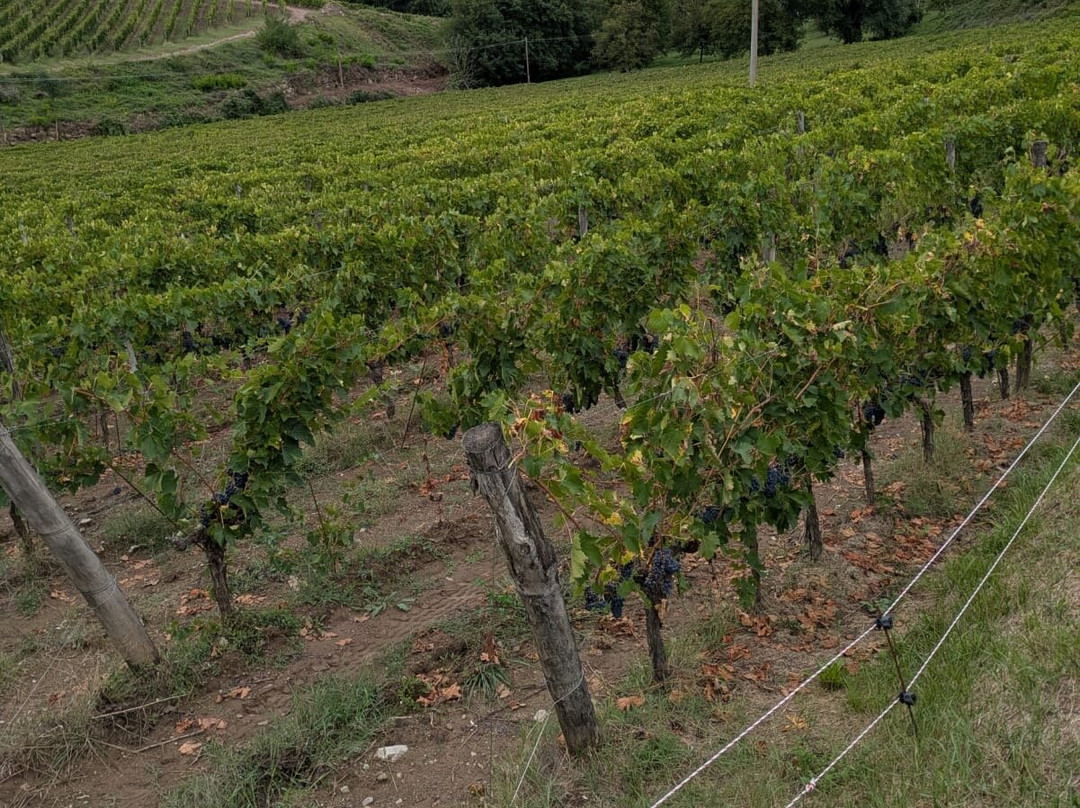 Silverhand Estate-Luddesdown必去景点