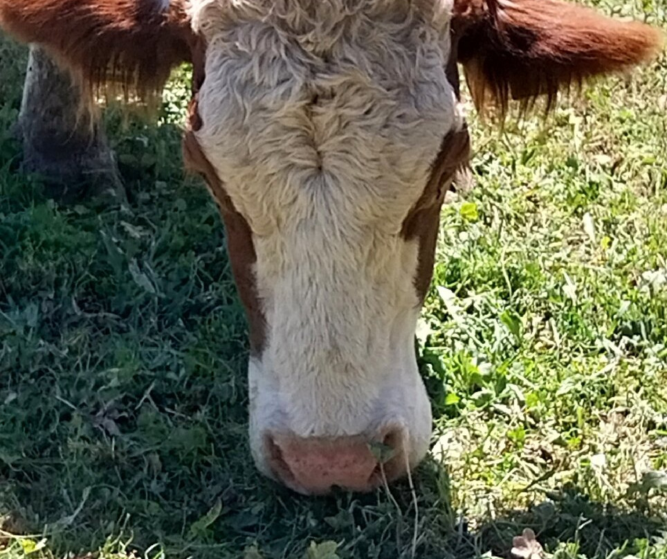 Jochgrimm - Passo di Oclini-Aldino必去景点