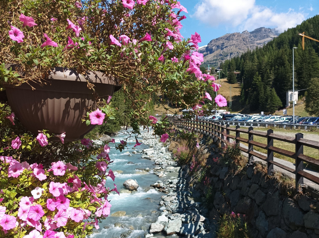 Hotel L'Aiglon - Champoluc主图