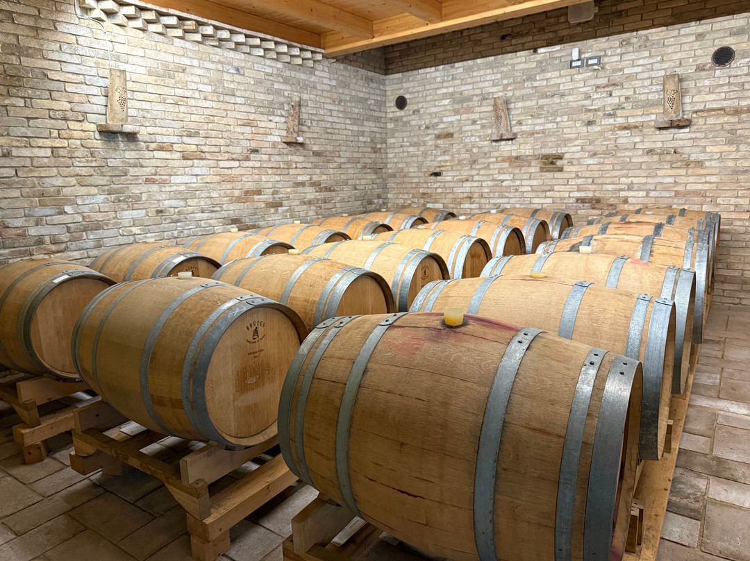 Terre Di San Rocco-Roncade必去景点