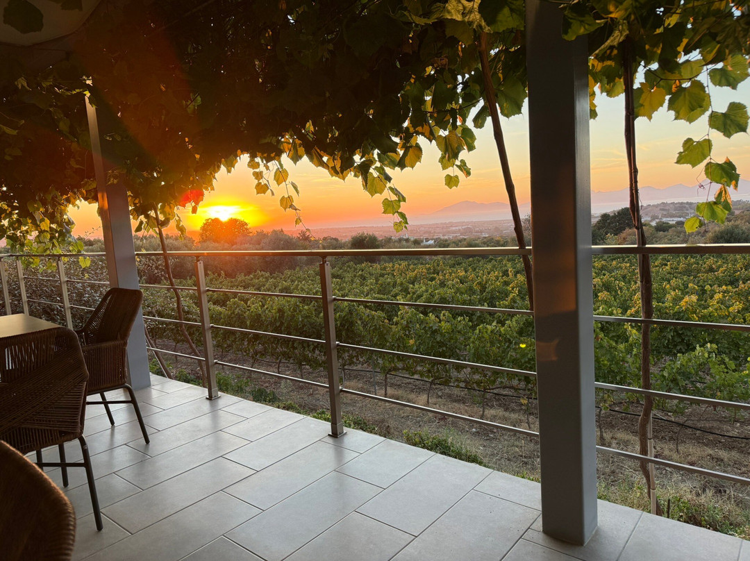 Papakonstantinou Winery-Pili必去景点