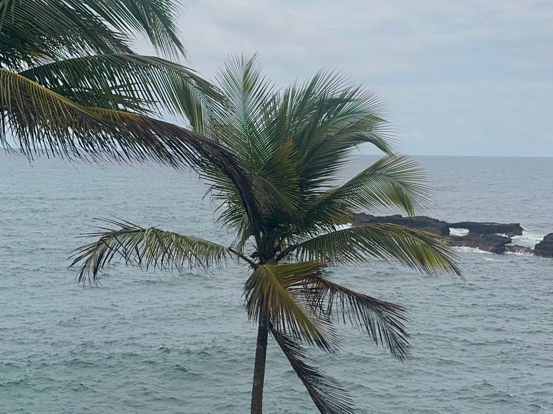 Gombela Ecolodge主图