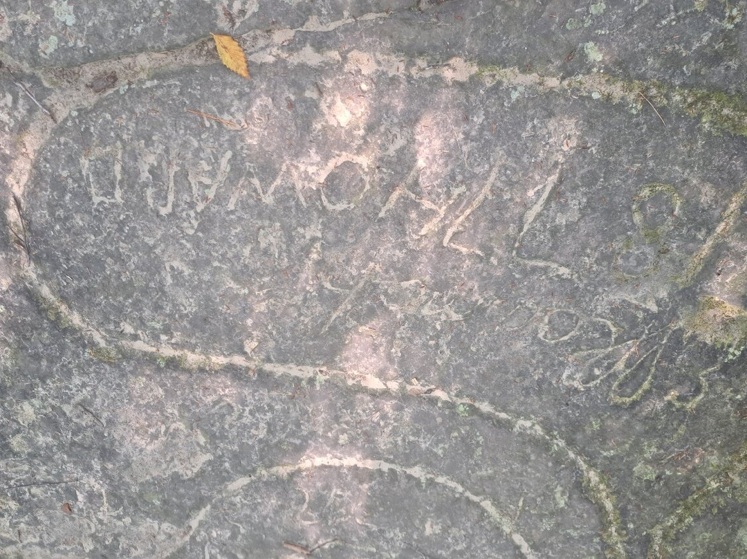 Shades State Park-Waveland必去景点