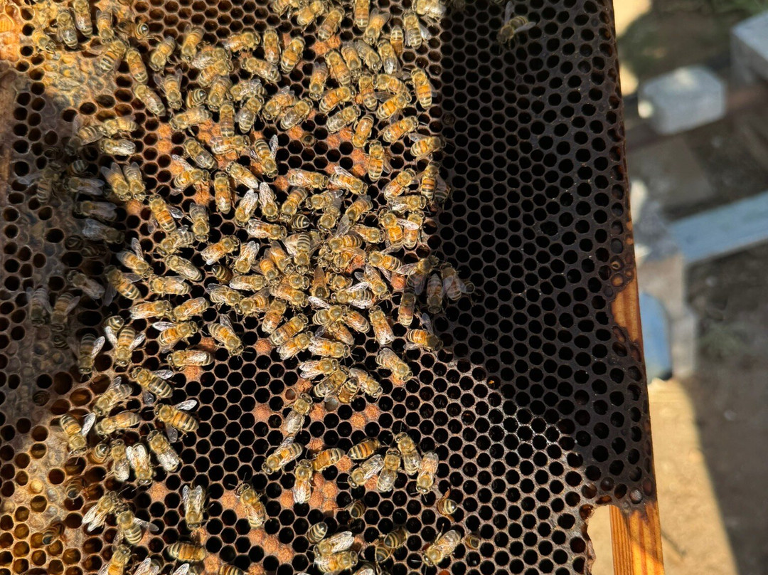 LandLife Travel-纳夫普利翁必去景点