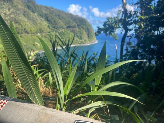 OUI TOUR MAUI-拉海纳必去景点