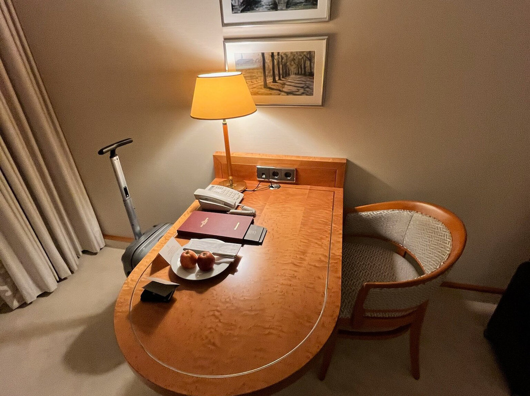 汉堡爱丽舍酒店主图