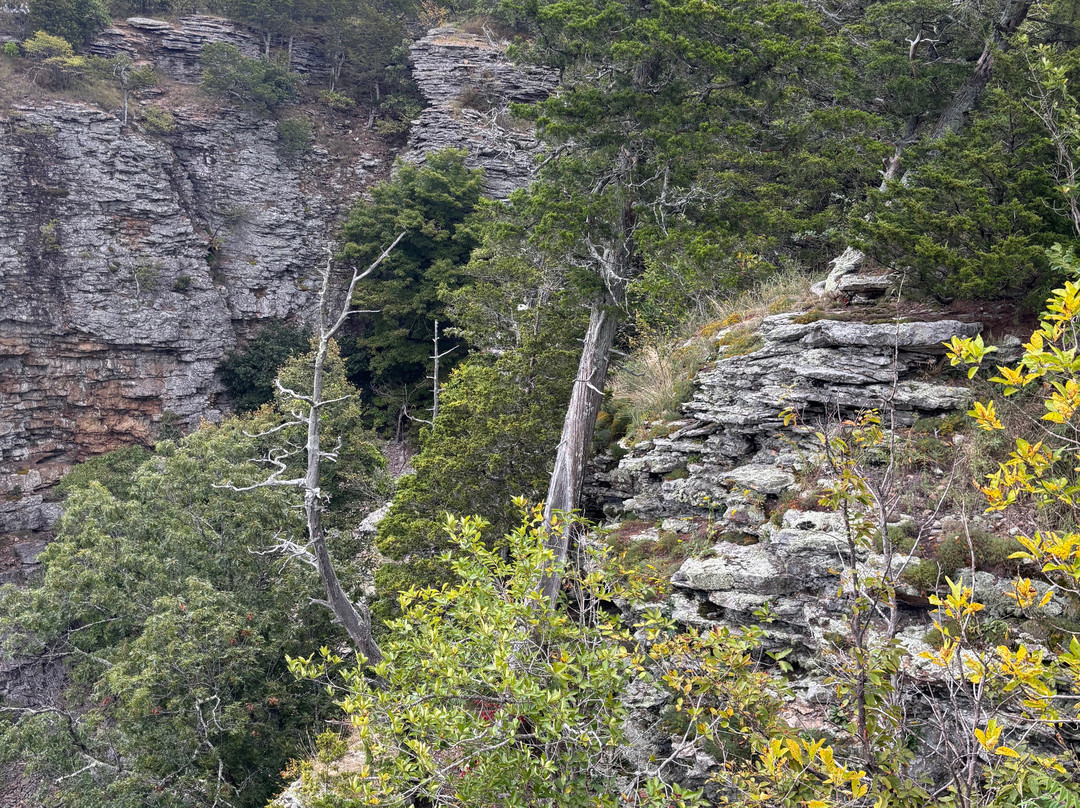 The Lodge at Mount Magazine主图