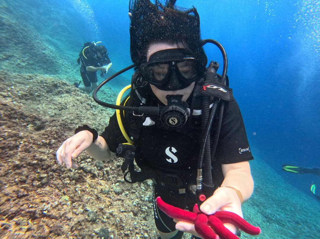 Epidaurum Diving & Water-Sports Center-察夫塔特必去景点