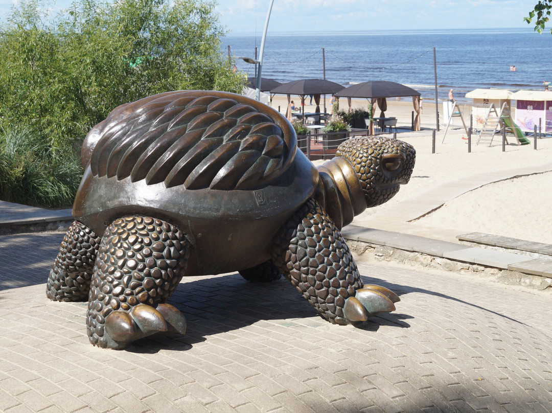 Brunurupucis (The Turtle)-尤尔马拉必去景点