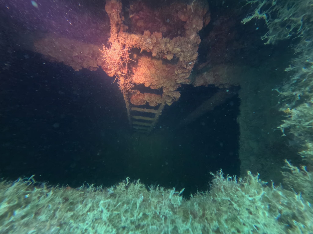 Paradise Diving Malta-史克华必去景点