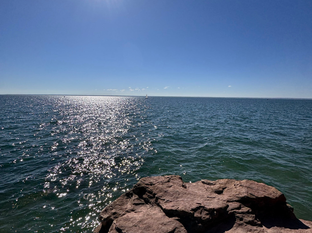 Artesian House Bed & Breakfast主图