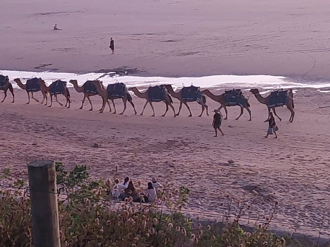 Broome Surf Life Saving Club
