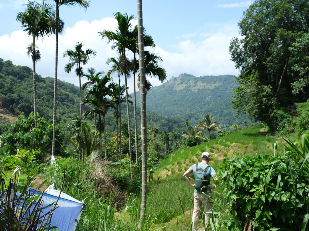 Knuckles Trail Blazers-Kandy District必去景点