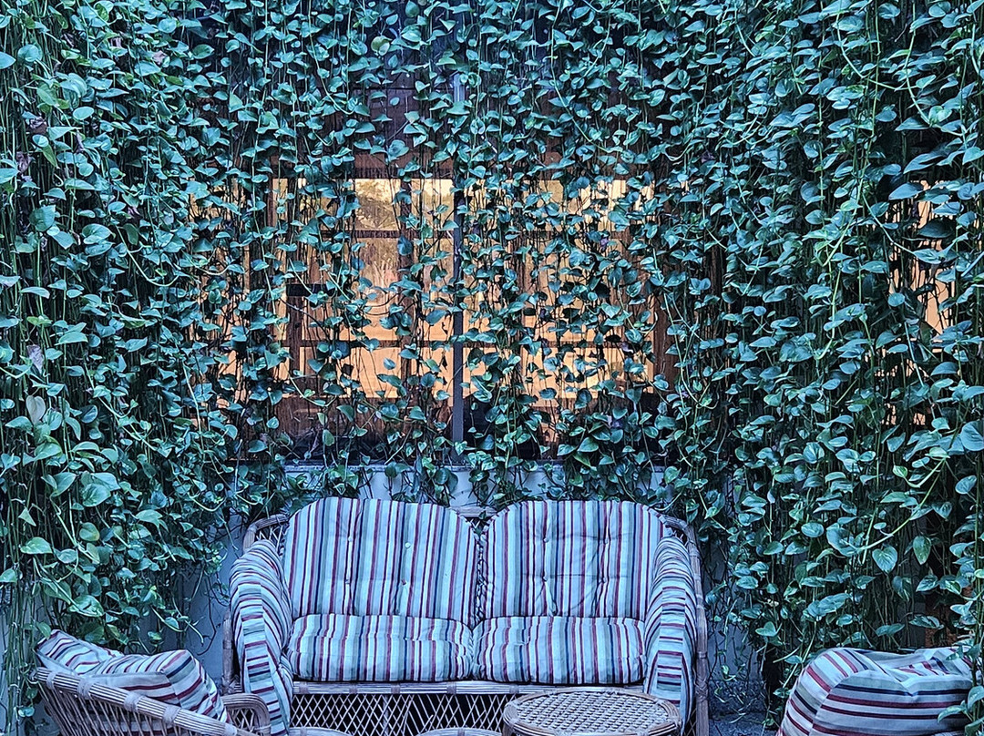 Pousada dos Girassois主图