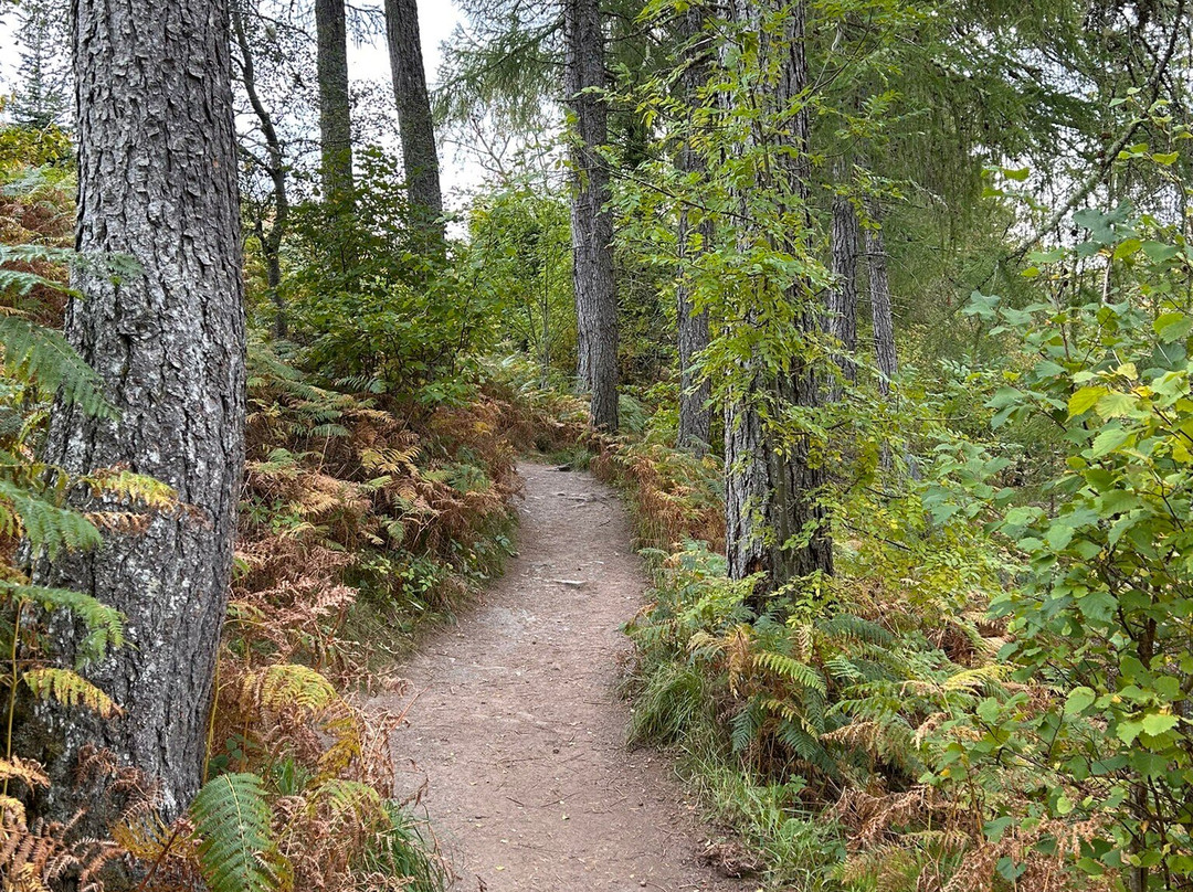 Falls of Measach-阿勒浦必去景点